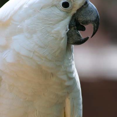 Title  7